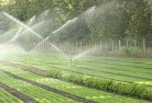 Coomba Parklandscaping-irrigation-11.jpg; ?>