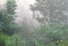Coomba Parklandscaping-irrigation-4.jpg; ?>