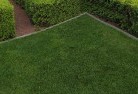 Coomba Parklandscaping-kerbs-and-edges-5.jpg; ?>