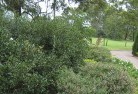Coomba Parkresidential-landscaping-35.jpg; ?>
