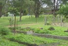 Coomba Parkresidential-landscaping-39.jpg; ?>