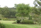 Coomba Parkresidential-landscaping-40.jpg; ?>