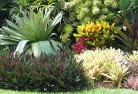 Coomba Parkresidential-landscaping-58.jpg; ?>